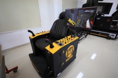 Simulator-Crane